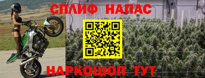 спайс Аша