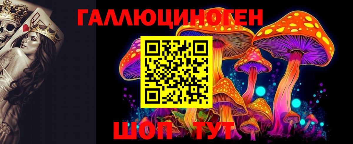 Благодарный  Галлюциногенные грибы Psilocybe  Вход с VPN 